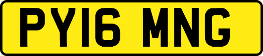 PY16MNG
