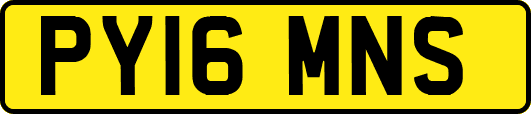 PY16MNS