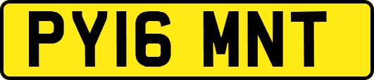 PY16MNT
