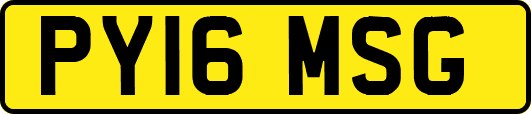 PY16MSG