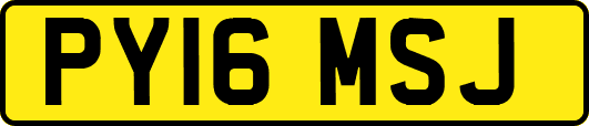 PY16MSJ