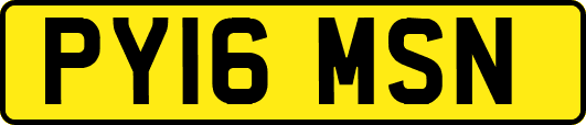 PY16MSN