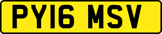 PY16MSV