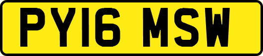 PY16MSW