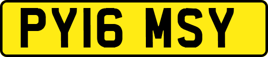 PY16MSY