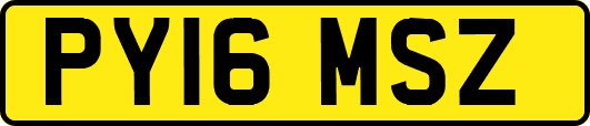 PY16MSZ