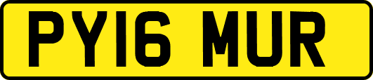 PY16MUR