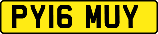 PY16MUY