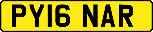 PY16NAR
