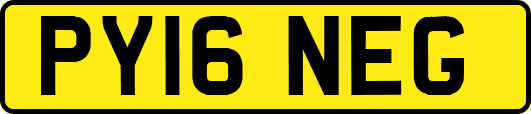 PY16NEG