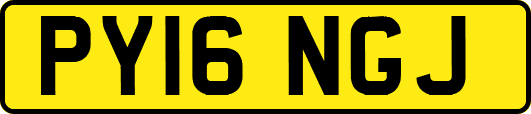 PY16NGJ