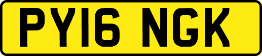 PY16NGK