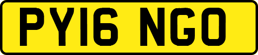 PY16NGO