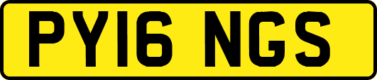 PY16NGS