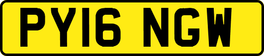 PY16NGW