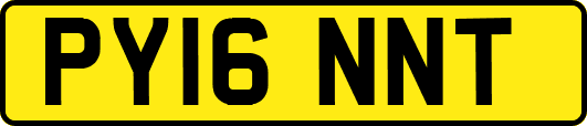 PY16NNT
