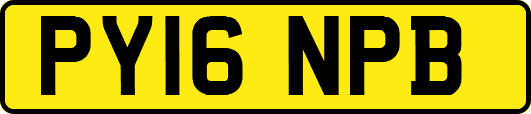 PY16NPB