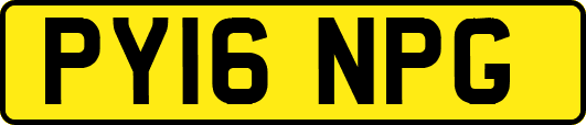PY16NPG
