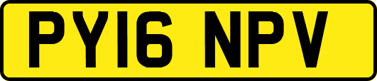 PY16NPV