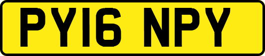 PY16NPY