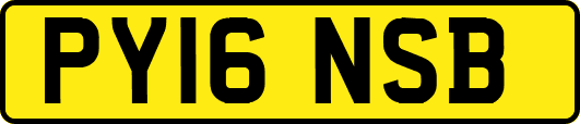 PY16NSB