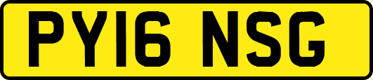 PY16NSG