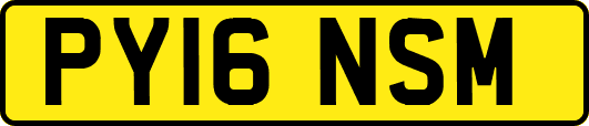 PY16NSM