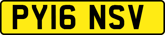 PY16NSV