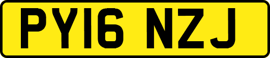 PY16NZJ