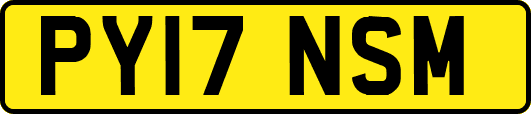 PY17NSM