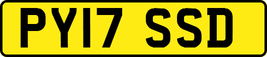 PY17SSD