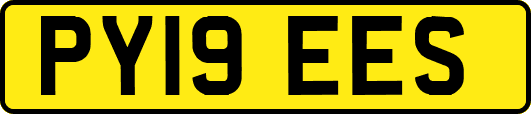 PY19EES