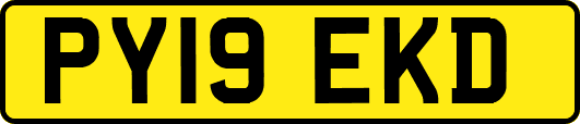 PY19EKD