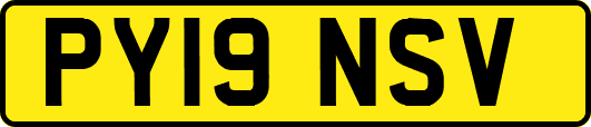 PY19NSV