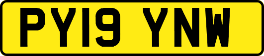 PY19YNW