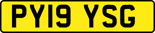 PY19YSG
