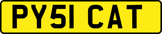 PY51CAT