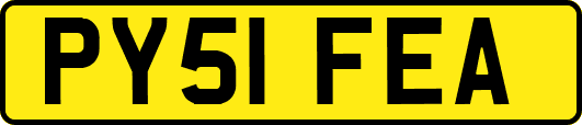 PY51FEA