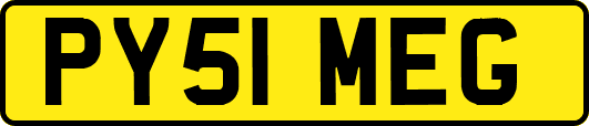 PY51MEG