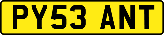 PY53ANT