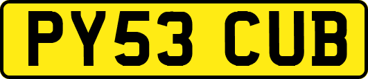 PY53CUB