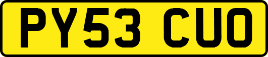 PY53CUO