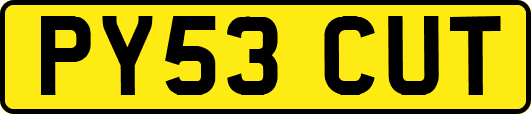 PY53CUT