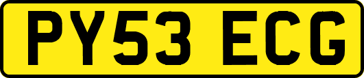 PY53ECG