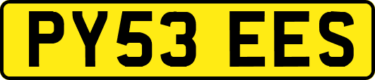 PY53EES