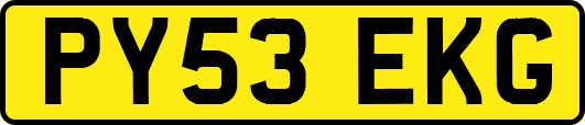 PY53EKG