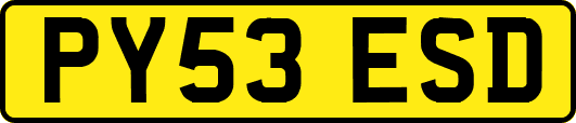 PY53ESD