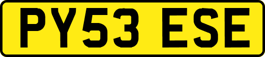 PY53ESE