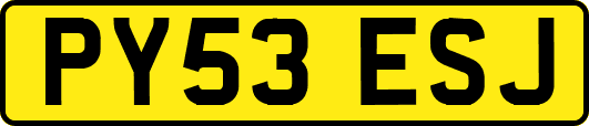 PY53ESJ