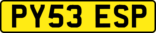 PY53ESP